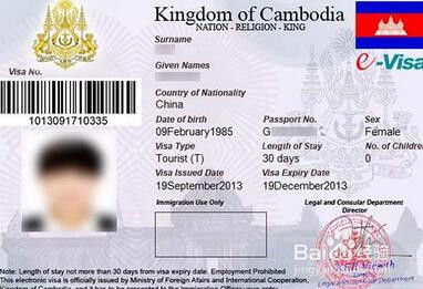 柬埔寨电子入境口岸 柬埔寨签证服务中心